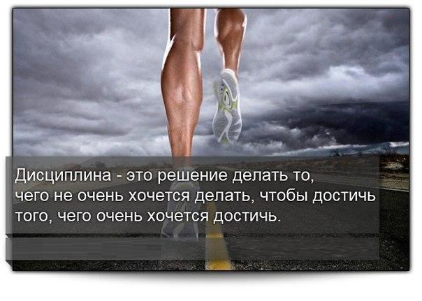 disciplina